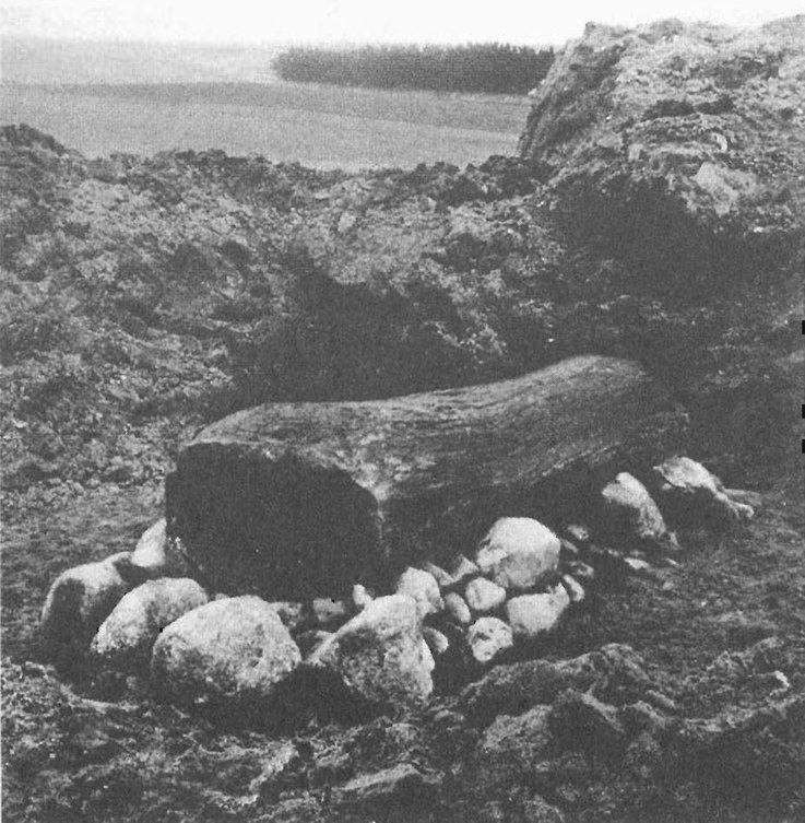 12. Гроб, найденный под могильный холмом во время раскопок 1921 г. в «Сторехёе», Эгтвед, недалеко от Кольдинга, Ютландия, Дания. Длина гроба, стоявшего на каменном основании, составляла около 2 м. Он был сделан из расщепленного и выдолбленного ствола дуба. Внутри были найдены останки молодой женщины и кремированного ребенка примерно 8 лет. Женщина была одета в куртку и короткую юбку, завернута в одеяло и лежала на коровьей шкуре. Фотография была любезно предоставлена Национальным музеем Копенгагена