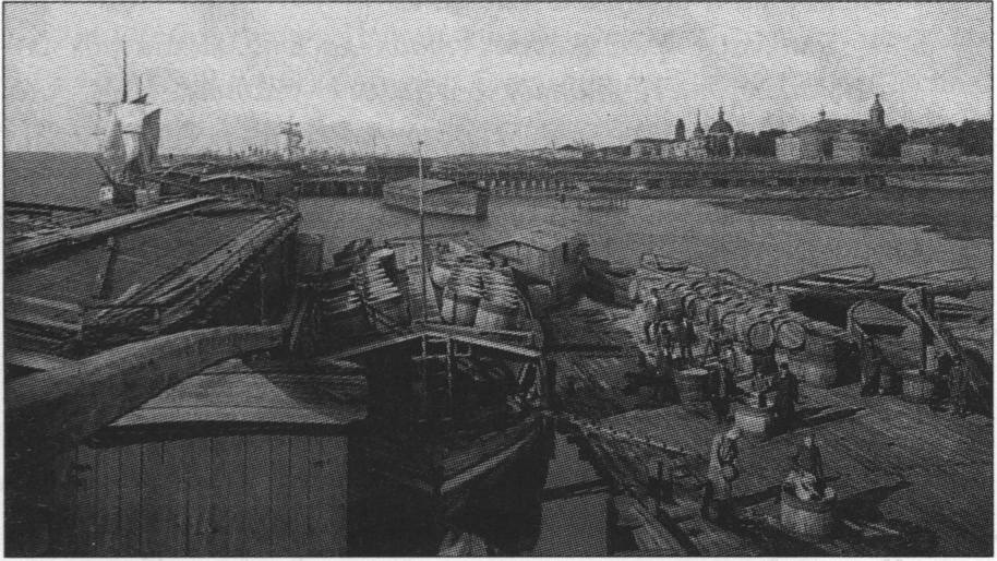 Поморская торговля в Архангельске, 1896 г