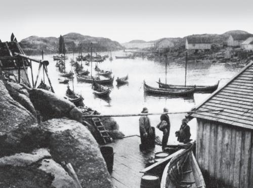 Рыбачий поселок на Лофотенских островах. Северная Норвегия