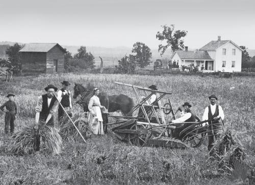 Норвежские переселенцы на уборке пшеницы в штате Висконсин. 1875 г